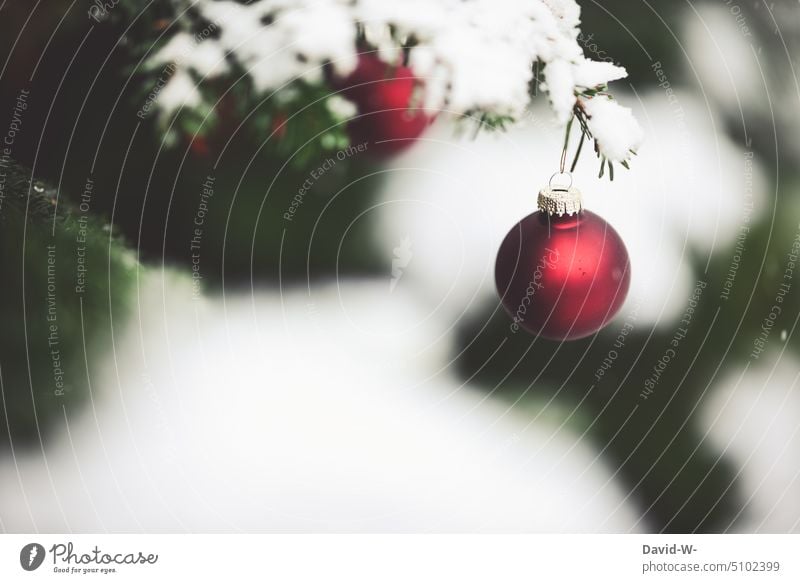 Weihnachtlich - Christbaumkugel hängen an einer mit Schnee bedeckten Tanne Weihnachten weihnachtlich Weihnachten & Advent Tannenbaum Weihnachtsbaum