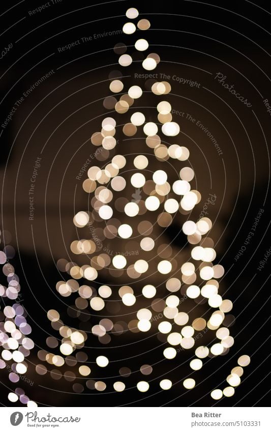 Funkelnder Weihnachtsbaum mit unscharfen Lichtern draußen Weihnachten & Advent festlich leuchten Tradition Stimmung Weihnachtsbeleuchtung Winter Lichterkette
