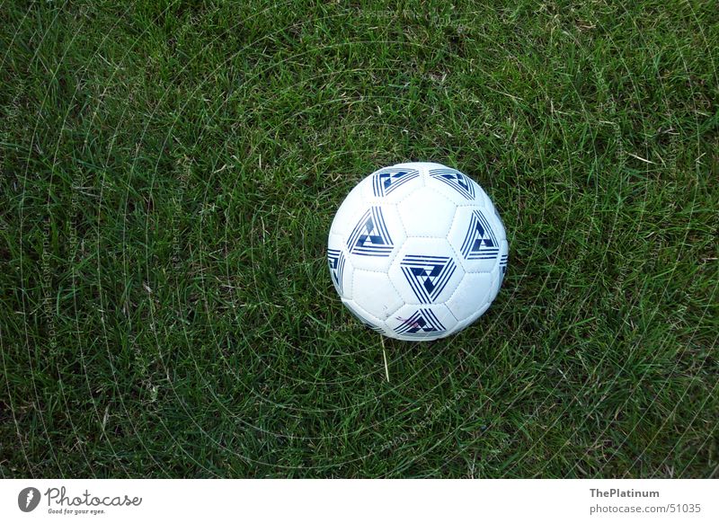Fußball auf saftigem Gras grün frisch Wiese rund Spielen Außenaufnahme Ball Deutschland Freude Freiheit