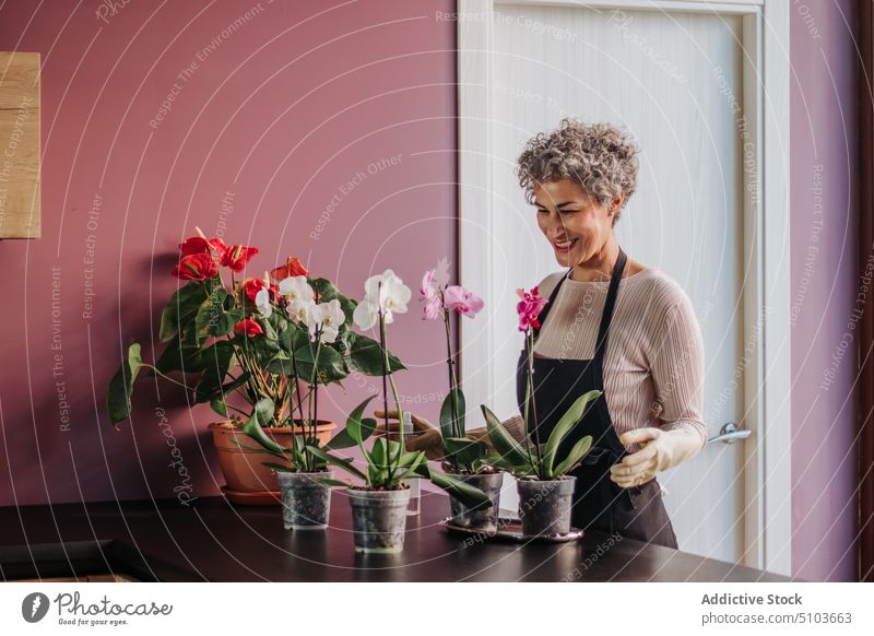 Gärtnerin, die Orchideen in Töpfen befeuchtet Frau Spray Wasser Hobby Pflanze Lächeln Küche Pflege reif Lebensmitte heimisch Topf frisch kultivieren Handschuh