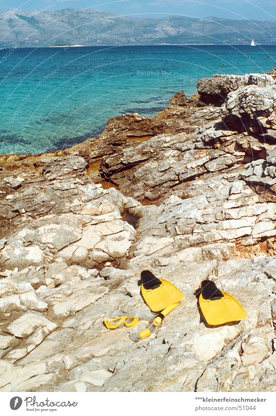 Tag am Meer (Korcula/Kroatien) Küste Ferien & Urlaub & Reisen ruhig Erholung Bikini Aussicht blau-grün Schnorcheln Sommer Freizeit & Hobby türkis Dalmatien