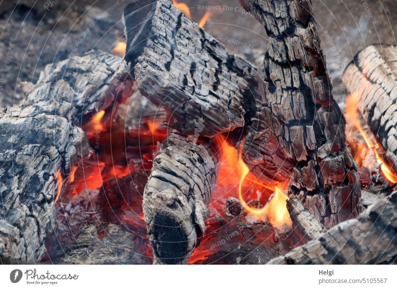 schön warm - verbrannte Holzscheite, Flammen und Glut an einer Feuerstelle brennen wärmen Wärme Winter heiß glühen Außenaufnahme Farbfoto Menschenleer glühend