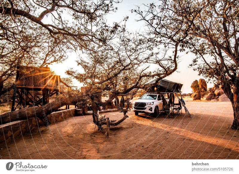 draußen ist ein wunderbarer ort Camping Wildnis Campingplatz campen Zelt dachzelt jeep Fernweh reisen Namibia Afrika Ferien & Urlaub & Reisen Abenteuer Baum