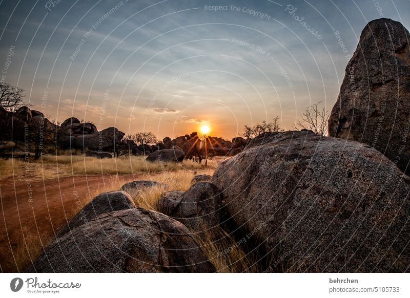 herzensland namibia Afrika Namibia Ferne Fernweh Sonnenlicht Sonnenuntergang