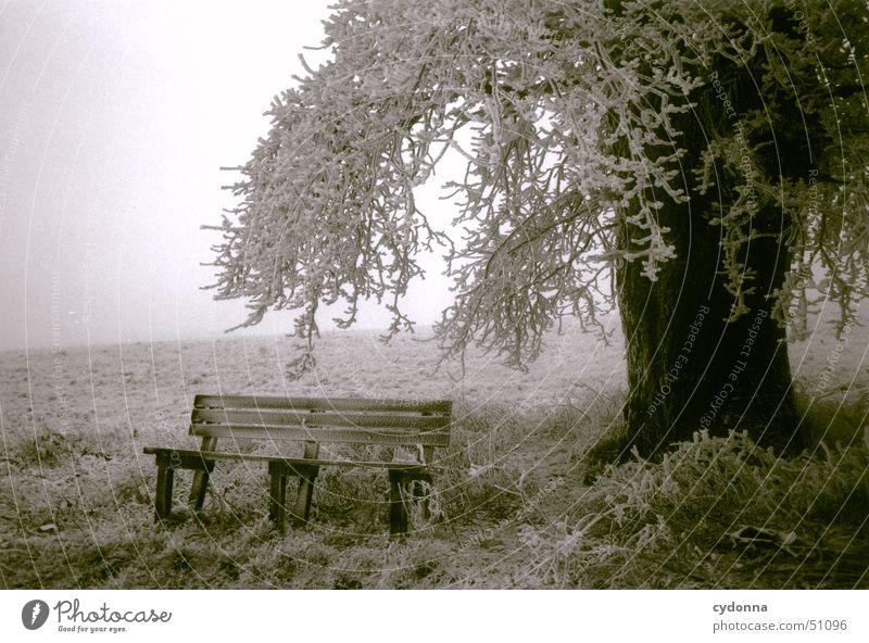 Ruheplatz Winter Baum Ein Lizenzfreies Stock Foto Von Photocase