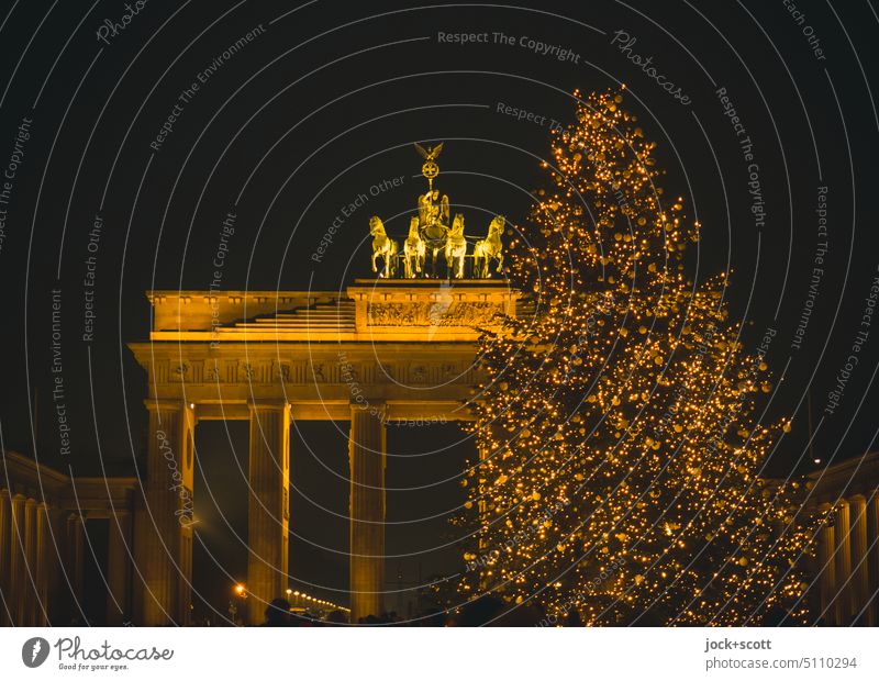 goldenes Brandenburger Tor erleuchtet mit Weihnachtsbaum Nacht Wahrzeichen Sehenswürdigkeit Weltkulturerbe Hauptstadt Lichterscheinung Hintergrund neutral