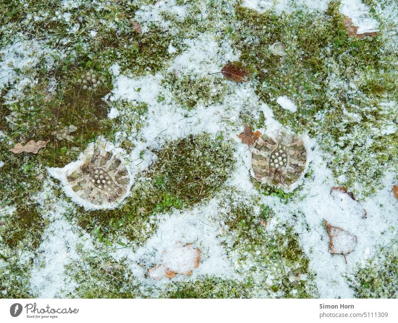 Spuren im schmilzenden Schnee CO2-Fußabdruck Fußabdrücke Fährte Wege & Pfade Umwelt Wiese Naturschutz Umweltzerstörung Winter Schneespur Fußspur kalt gehen