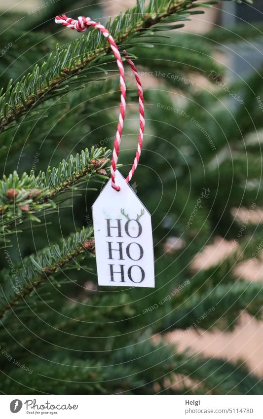 Ho Ho Ho - Dekoanhänger mit den Worten Ho Ho Ho hängt am Tannenbaum Weihnachten Advent Dekoration Verzierung weihnachtlich Tannenzweig Band rot-weiß