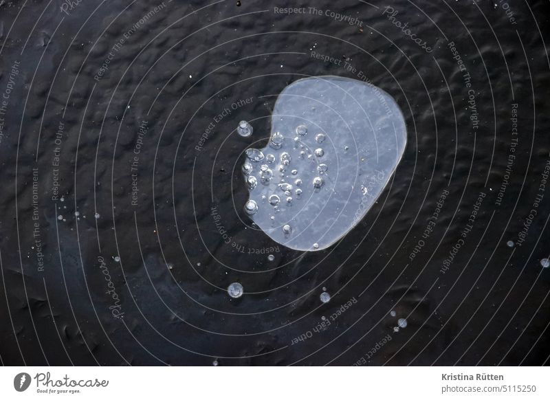 eisblasen eisfläche luftblasen see teich gewässer gefroren zugefroren einschlüsse kreise rund muster abstrakt form organisch frost frostig eiskalt kälte glatt