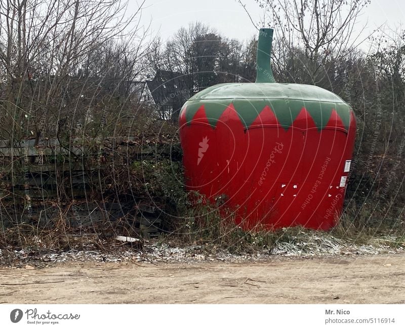 Erdbeerbude im Winterschlaf Obst- oder Gemüsestand Vegetarische Ernährung rot Erdbeeren Lebensmittel Landwirtschaft Markttag Obstverkäufer Gemüsemarkt Ernte