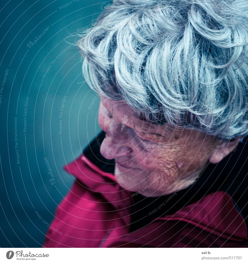 Großmutter Seniorenpflege harmonisch Zufriedenheit Erholung Häusliches Leben Ruhestand feminin Weiblicher Senior Frau 1 Mensch 60 und älter Jacke alt Denken