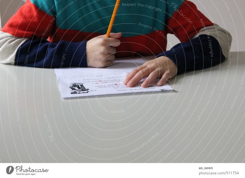 Hausaufgaben Junge Kindheit Hand Finger 3-8 Jahre Pullover Papier Zettel Schreibstift Denken lesen schreiben blau grau orange rot türkis weiß ruhig vernünftig