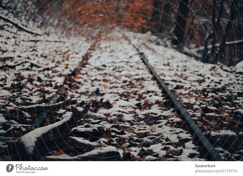 Alte Eisenbahn-Schienen, verschneit, enden in herbstlichem Buschwerk stillgelegt Stilllegung alt Schienenweg Herbst Schnee Sackgasse Endstation vernachlässigt