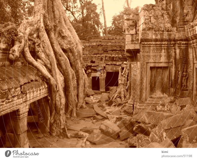 Tomb Raider Temple, Kambodscha Tempel Ta Prohm Tempel Bauwerk tomb raider temple Sepia