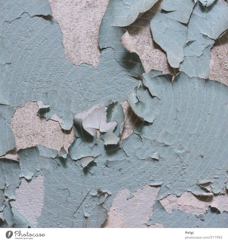 AST5 | der Lack ist ab... Haus Mauer Wand Farben und Lacke Putz alt Häusliches Leben authentisch außergewöhnlich einfach historisch blau grau Stimmung Senior