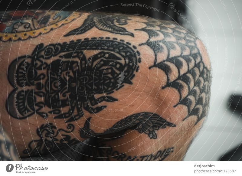 Skorpion Mann Tattoos Porträt Tag Haut bunt Nahaufnahme schön außergewöhnlich tätowiert Farbfoto Erwachsene Mensch Kunst Kontrast Körperbewusstsein