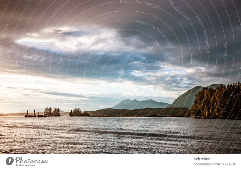 in einer anderen welt Sehnsucht Ferne Himmel Wolken besonders Berge u. Gebirge Natur Küste Landschaft Meer Wald Bäume British Columbia Wasser Abenteuer Freiheit