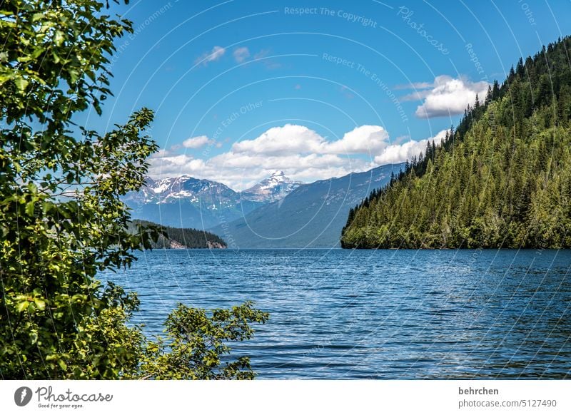 kanada Wellen Wasseroberfläche Clearwater Lake Himmel Berge u. Gebirge Wald Kanada See Landschaft erholsam genießen Fernweh Bergsee Nordamerika British Columbia