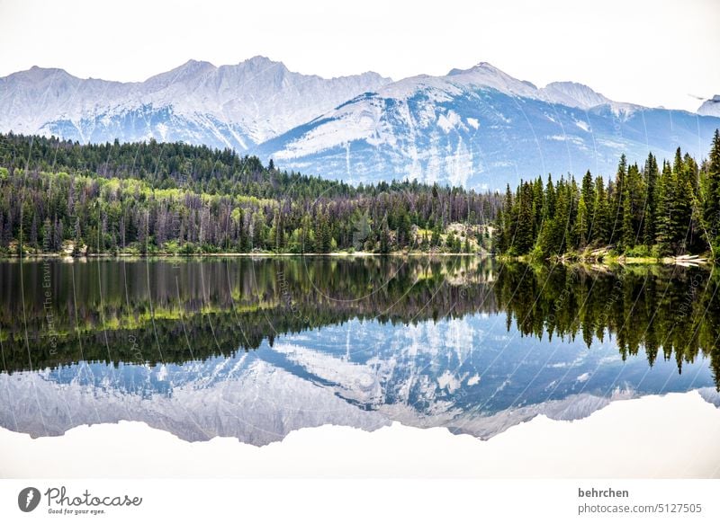 spiegeleigeschichten Bäume Jasper National Park Abenteuer Wolken Ruhe Alberta Idylle stille beeindruckend friedlich Einsam Einsamkeit Himmel See Nordamerika