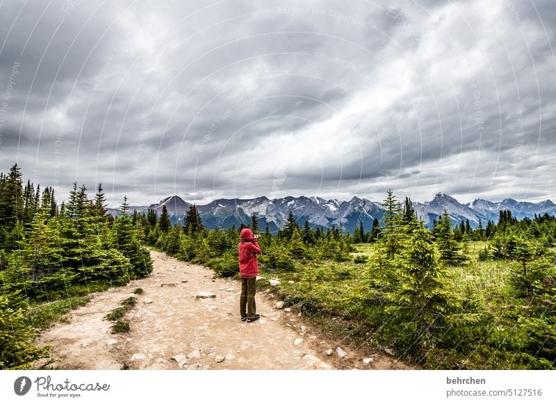 es war einmal in kanada Jasper National Park Wolken wandern Kanada Abenteuer Berge u. Gebirge Wald Bäume Landschaft Nordamerika Rocky Mountains Fernweh Ferne