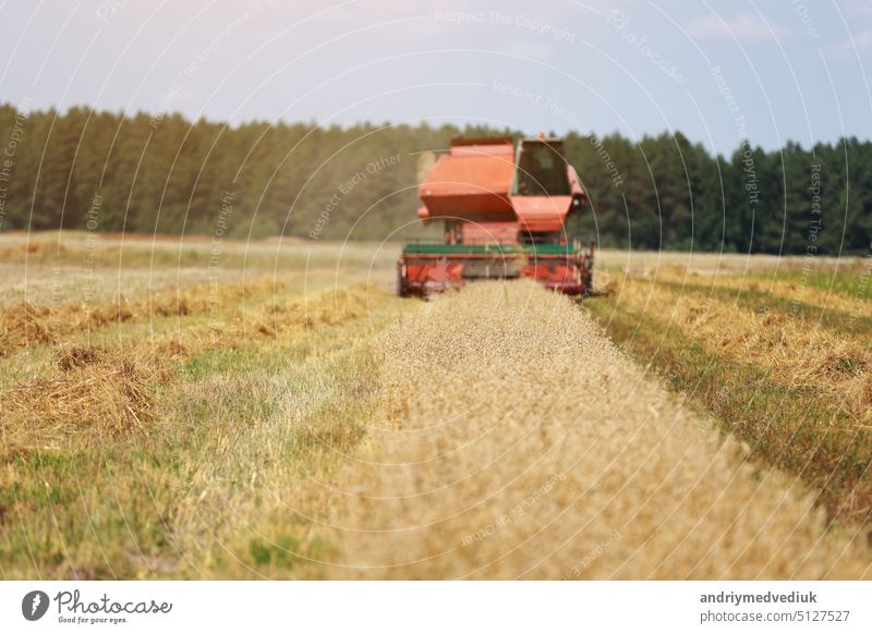 Mähdrescher, der im Sommer durch ein Feld fährt, um Getreide zu ernten. Ernte von Frühgetreide und Winterweizen. Landmaschinen fahren zur Kamera und sammeln Weizen ein. Anbau von Bio-Weizen.