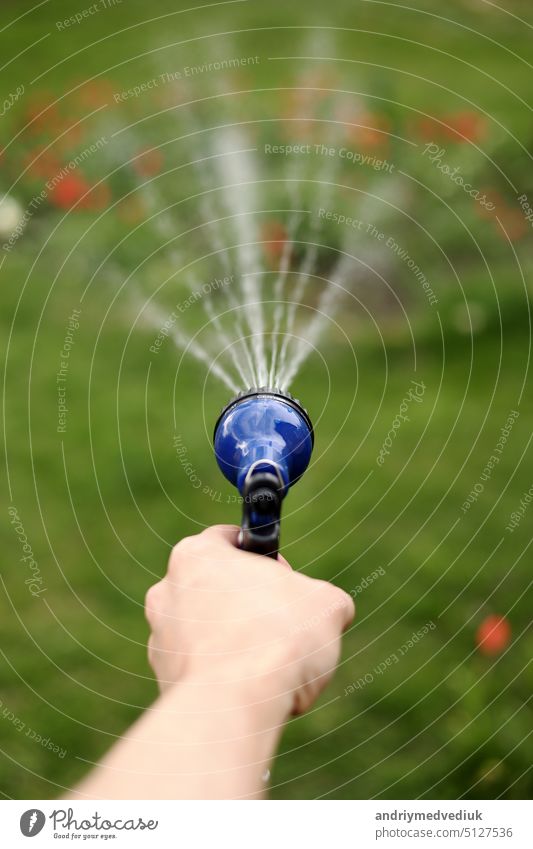 Die Hand des Gärtners hält einen Schlauch mit einer Spritze und bewässert die Pflanzen im Garten. Berieselung Druck Werkzeug strömen Sprinkleranlage bewässern