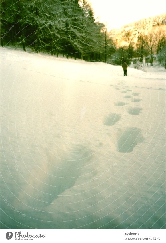 im Tiefschnee Winter kalt Fußspur weiß Wald Thüringen Einsamkeit ruhig wandern Eindruck Mensch Schnee Eis Spuren Sonne Landschaft Spaziergang