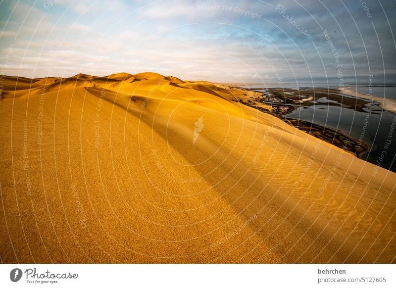 wie sand am meer Afrika Namibia Wüste Sand Meer Ozean weite Sehnsucht Ferne Fernweh reisen Landschaft Ferien & Urlaub & Reisen sandwich harbour Dünen sanddüne