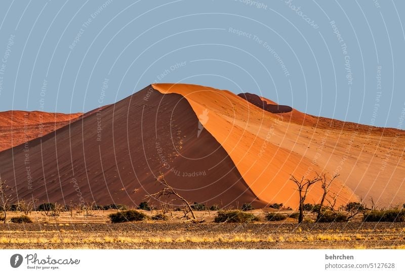 licht- und schattenseiten Himmel Namib Dürre trocken Berge u. Gebirge Baum Bäume Klimawandel Umwelt sanddüne Dünen magisch besonders beeindruckend traumhaft