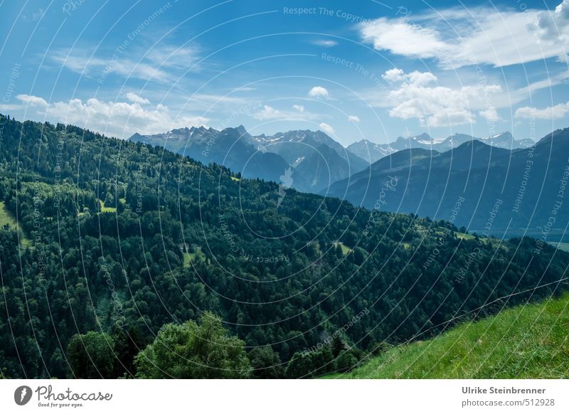 Alpine Momente 1 Umwelt Natur Landschaft Pflanze Himmel Wolken Sommer Schönes Wetter Baum Gras Wiese Wald Alpen Berge u. Gebirge Vorarlberg Österreich Gipfel