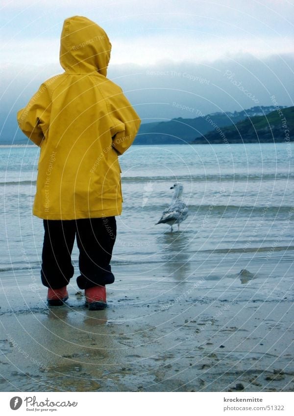 möwe schauen Kind gelb Möwe Regenmantel Stiefel rot Meer England Strand Wolken Kapuze seemöwe Wasser Sand sandspuren beobachten Junge Rückansicht boy sea