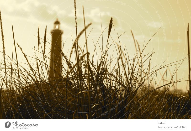 Leuchtturm in den Dünen Skaagens Stranddüne Dänemark skaagen