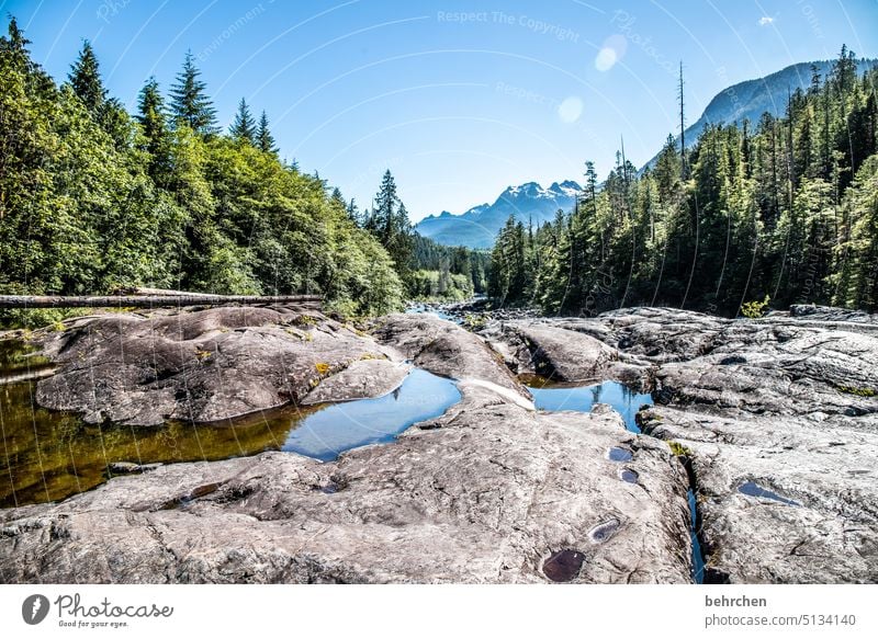 vancouver island Felsen flussbett Fluss Natur Landschaft Wald Bäume British Columbia Wasser Abenteuer Kanada Nordamerika Vancouver Island