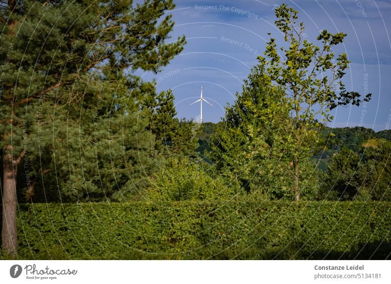 Hecken und Bäume mit Windrad vor blauem Himmel. Natur Energie Energiegewinnung Landschaft Windkraftanlage Energiewirtschaft Erneuerbare Energie Umweltschutz