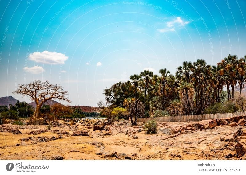 epupa falls weite epupafalls Klimawandel Dürre Trockenheit trocken Ferne Afrika Farbfoto Namibia Fernweh Natur Landschaft Ferien & Urlaub & Reisen Abenteuer