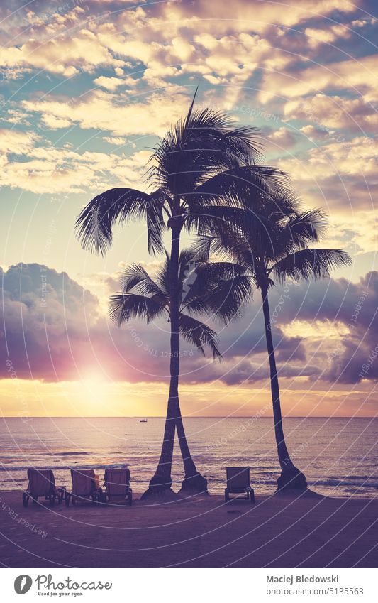 Karibischer Tropenstrand mit Kokosnusspalmen-Silhouetten bei Sonnenuntergang, Farbabtönung angewendet, Mexiko. MEER Strand Natur Karibik Handfläche Meer retro