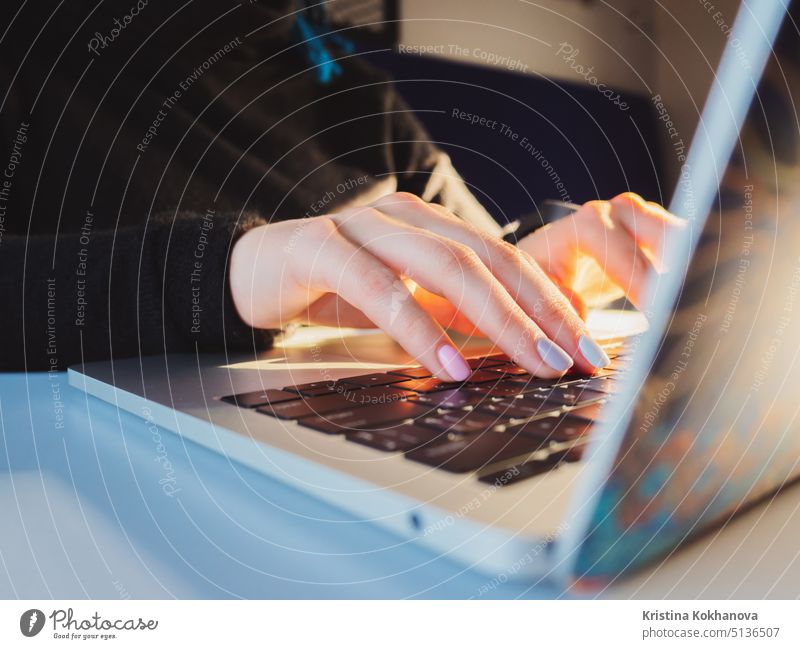 Junge Geschäftsfrau arbeitet am Laptop. Fokus auf Hände tippen auf der Tastatur. Sonnenaufgang oder Sonnenuntergang Lichtlecks Business Mitteilung Computer