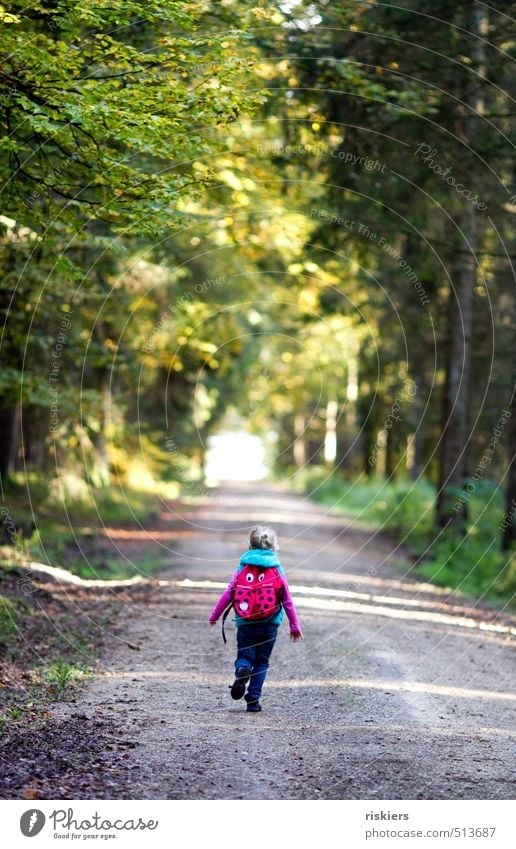 wanderlust Mensch feminin Kind Mädchen Kindheit 1 3-8 Jahre Umwelt Natur Landschaft Herbst Schönes Wetter Wald entdecken rennen wandern frei Freundlichkeit