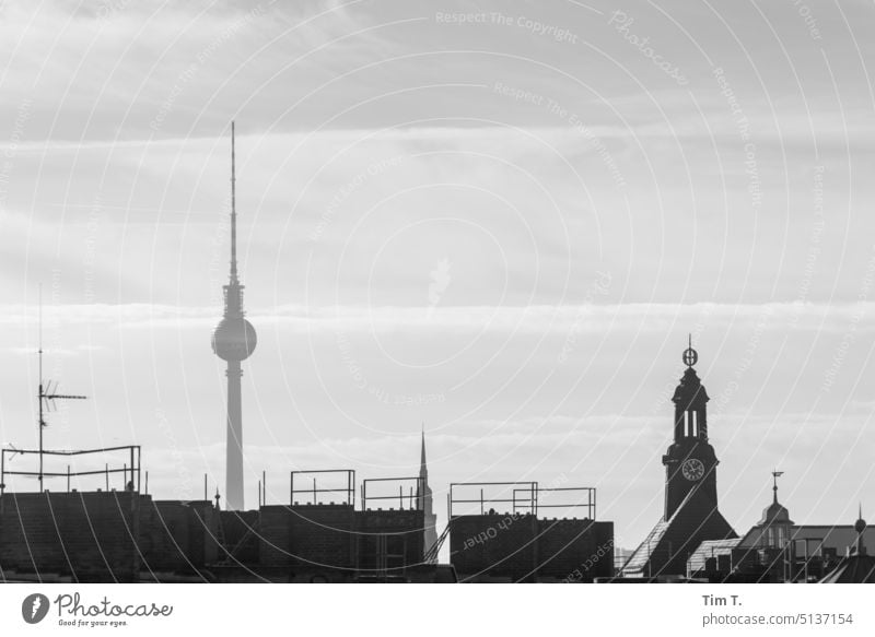 Blick auf den Fernsehturm von Prenzlauer Berg s/w Berlin Stadtzentrum Hauptstadt Schwarzweißfoto Außenaufnahme Menschenleer Tag Altstadt Architektur Bauwerk