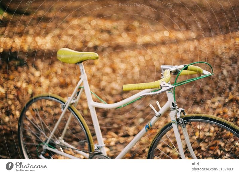 Vintage Damen Rennrad in herbstlicher Parkanlage, Totale. retro stahlrahmen Lifestyle Verkehrsmittel Fahrrad Freizeit & Hobby Sport Farbfoto sportlich Mobilität