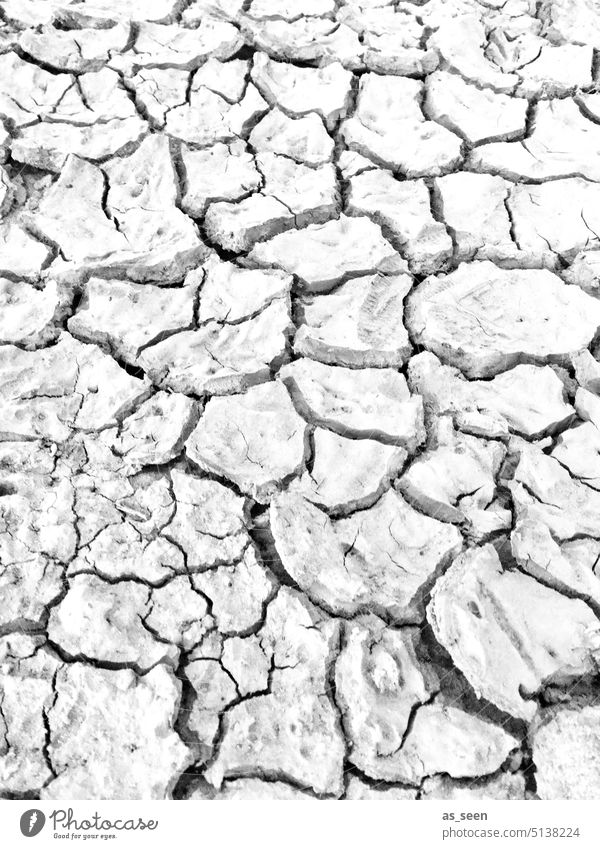 Trockenheit trocken ausgetrocknet Boden Erde Lienien Risse Schwarzweißfoto Dürre Umwelt Klima Natur Klimawandel Sommer heiß Wüste Menschenleer Außenaufnahme