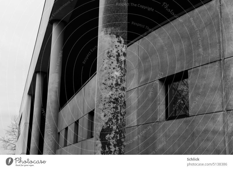Moderne Betonarchitektur mit Blick auf kahle Bäume Architektur Betonsäulen Betonplatten modern Fenster Spiegelung Himmel grau trist Schwarzweißfoto Fassade