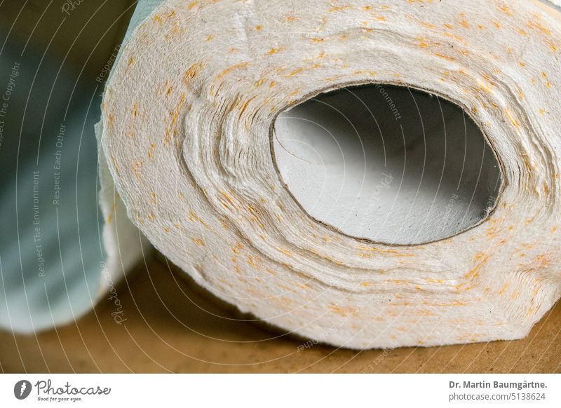 Eine Rolle Toilettenpapier, Klopapier, Klosettpapier oder WC-Papier, Tissue-Papier Papierrolle gemustert Hygieneartikel