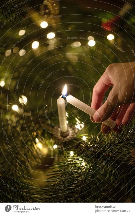 Eine Christbaumkerze an einem Weihnachtsbaum wird mit einer anderen Kerze angezündet. Weihnachten & Advent Kerzenschein Kerzenflamme Hand anzünden entflammen