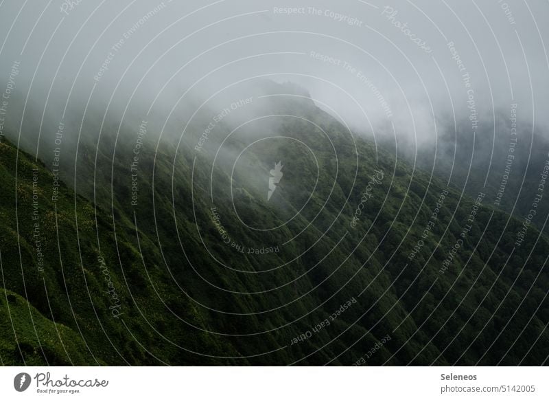 Nebelverhangen Landschaft Wald Berge Gebirge Berge u. Gebirge Natur Himmel Wolken Außenaufnahme Hügel Farbfoto Menschenleer Umwelt Baum Felsen Gipfel Alpen Tag