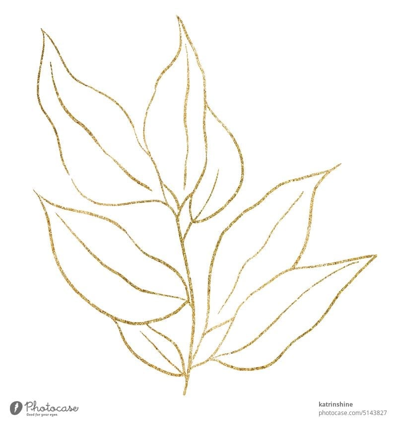 Goldene Umrisse botanische funkelnde Blätter Illustration, Hochzeit Design einzelnes Element Dekoration & Verzierung Laubwerk Garten handgezeichnet Feiertag