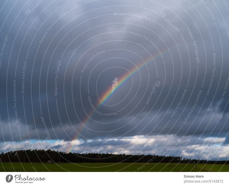 Regenbogen dunkel Wolken Gold Toleranz Wald Licht Prisma Lichtbrechung Spektralfarbe Vielfältig Symbole & Metaphern spektral Vielfalt