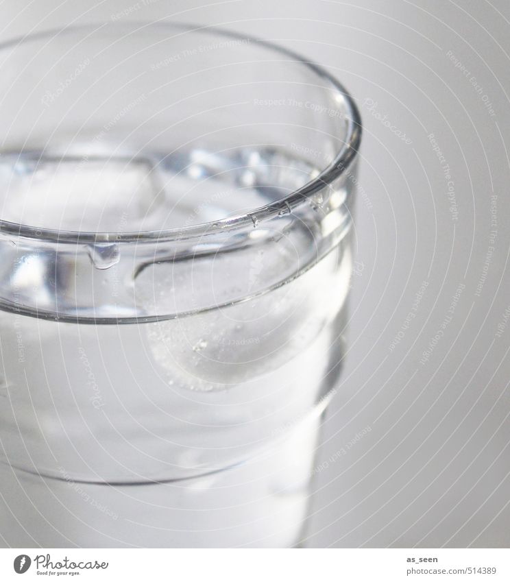 Kaltes klares Wasser Wassertropfen Wasserglas Glas glänzend trinken authentisch einfach Flüssigkeit frisch Gesundheit kalt nachhaltig nass natürlich Sauberkeit