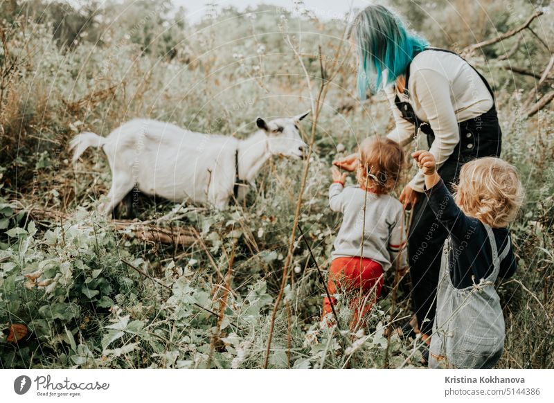 Erstes Treffen von Kleinkind Babys Zwillinge Jungen und weiße Ziege in der Natur. Sommer Feld Landschaft mit Bauernhof Haustier. Natur und Kinder Tier Person