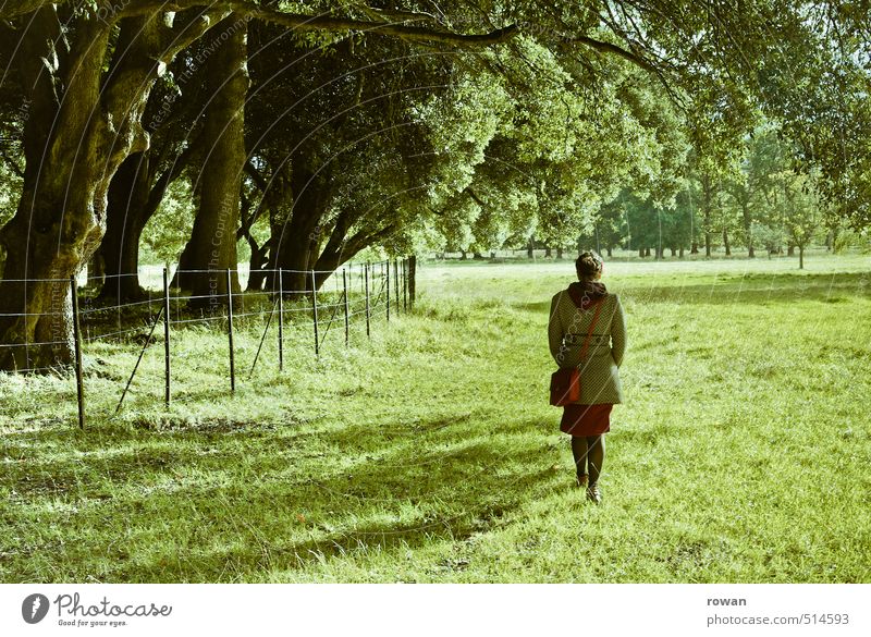 wandeln Mensch feminin Junge Frau Jugendliche Erwachsene 1 Umwelt Natur Landschaft Baum Park Wiese Wald schön Spaziergang Erholung grün Kleid Mantel Handtasche